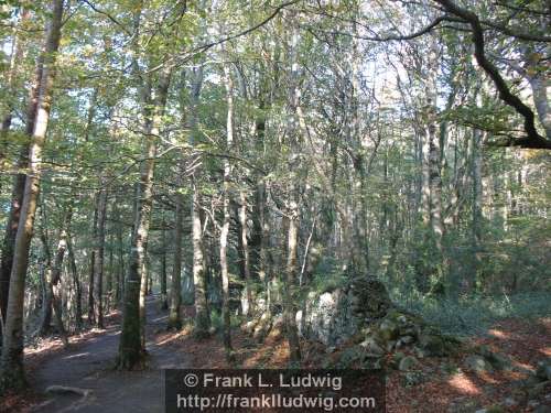 Coole Park, County Galway